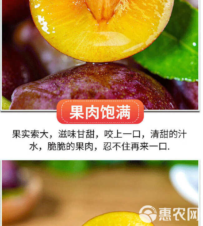 国产西梅4斤/5斤装一件代发收货后冷藏后食用更佳