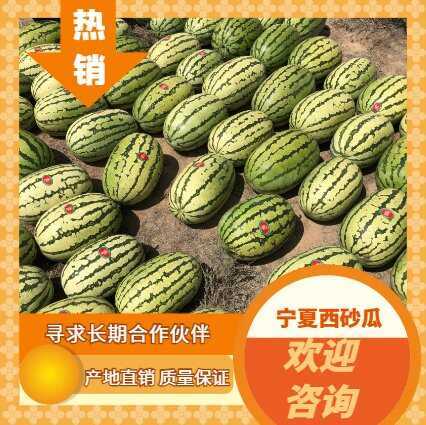 宁夏中卫头茬硒砂瓜大西瓜新鲜应季水果水果整箱30斤