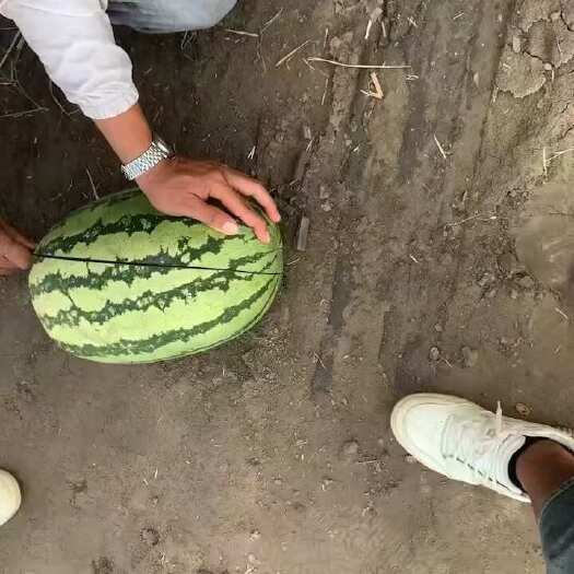 晋江市产地直发 一手货源 价格实惠