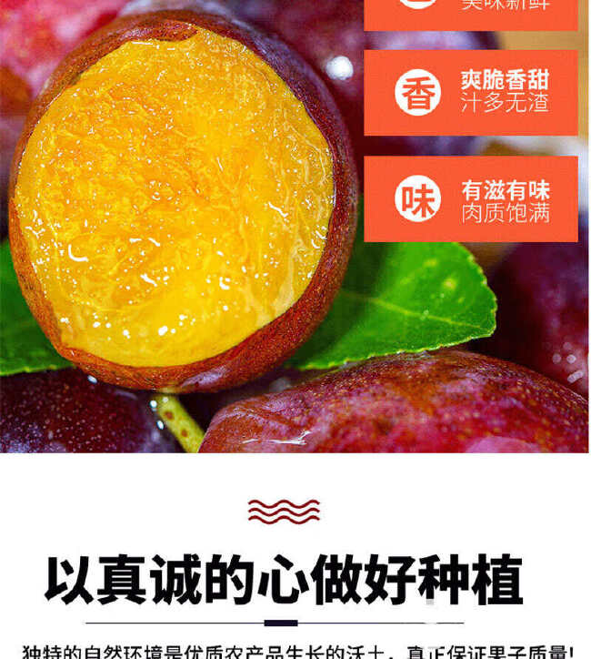 国产西梅4斤/5斤装一件代发收货后冷藏后食用更佳