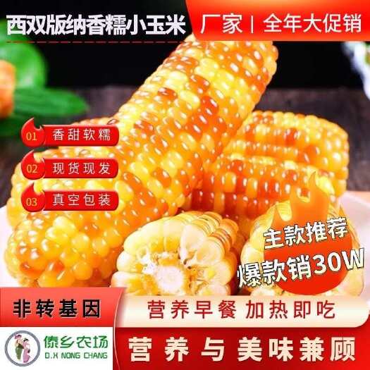 景洪市云南西双版纳香甜糯玉米花糯玉米粘真空包装糯玉米棒整箱代发批发