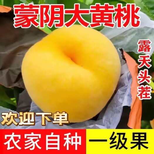 黄油桃 山东黄油桃大量上市 产地直销 口感脆甜 量大从优