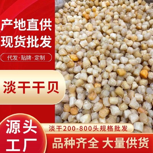 霞浦县一手货源 大连干贝250-800头批发 新鲜淡干 卖相漂亮