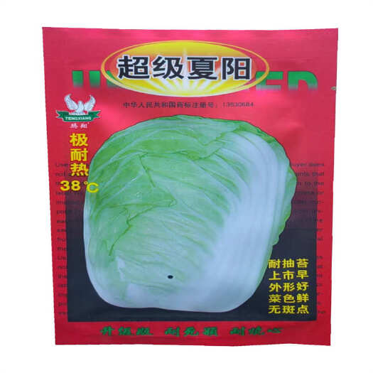 抗热先锋夏阳白菜种子早熟大白菜种子耐热巨龙热抗王白菜种子