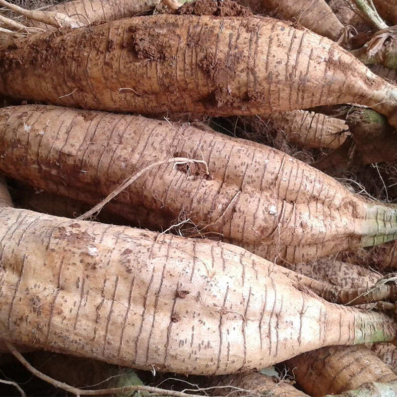 红葛根泰国艳紫铆原片红葛根干片红高颗原根泡酒料批发泡茶煮水