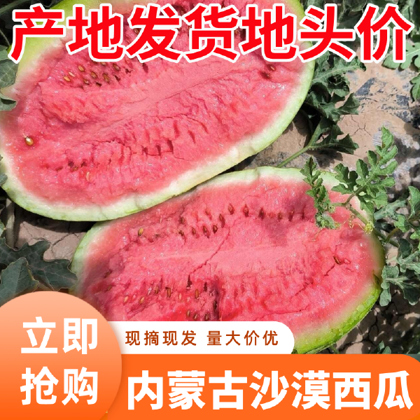 内蒙古西瓜沙漠6号头茬8斤打底露天种植产地直发地头批发价