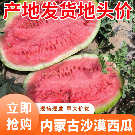 内蒙古西瓜沙漠6号头茬8斤打底露天种植产地直发地头批发价