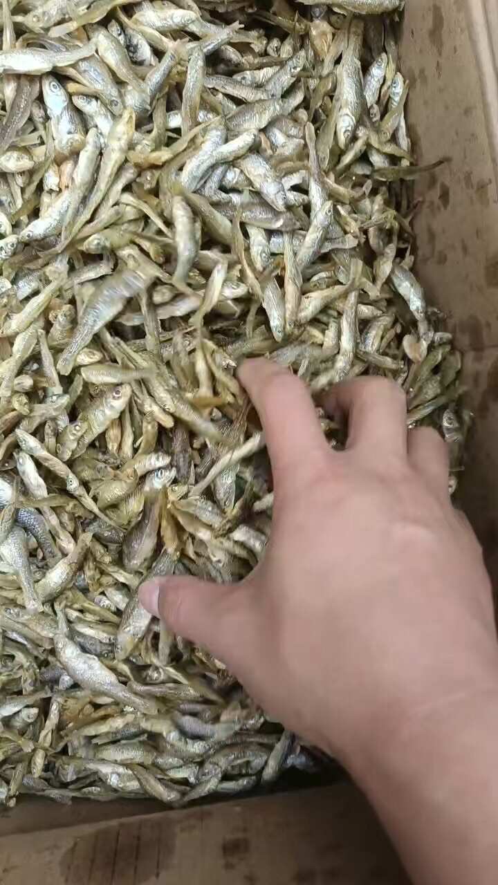 湖南特产火焙鱼烟熏水库烟熏麦穗鱼弄子鱼 毛毛鱼 细鱼嫩子干货