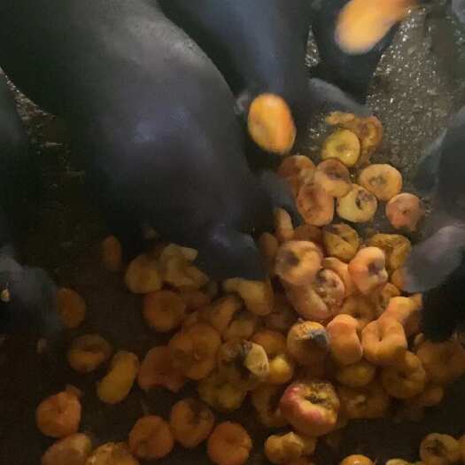 马鞍山农场黑猪肉
