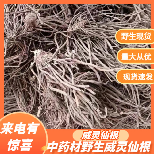 剑阁县纯嘢生威灵仙根，无农残药性醇厚，手工精挑细选，正品保证