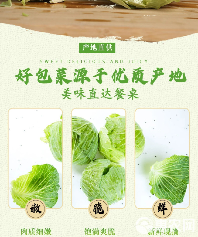 【爆卖】新鲜包菜现砍绿甘蓝卷心菜圆白菜包心菜青甘蓝沙拉蔬菜