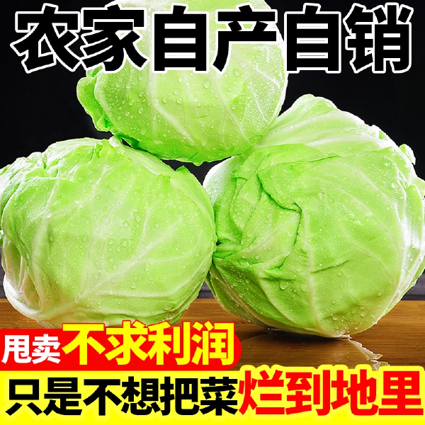 【爆卖】新鲜包菜现砍绿甘蓝卷心菜圆白菜包心菜青甘蓝沙拉蔬菜