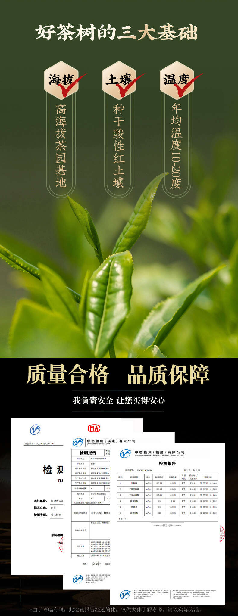 正宗陈皮白茶新会陈皮小包装小方片福鼎老白茶贡眉小茶饼500g