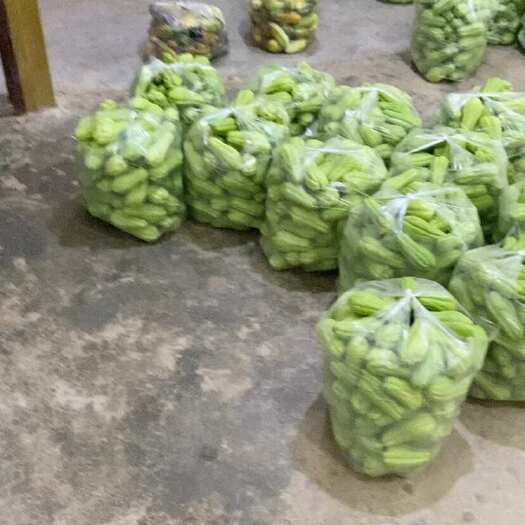 盐津县佛手瓜