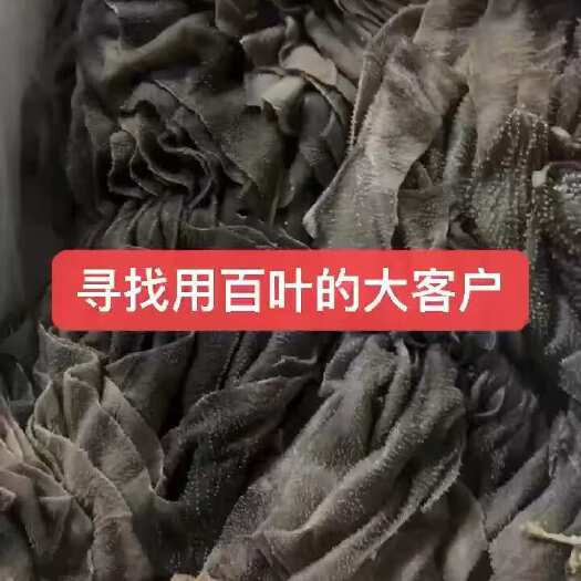 诏安县新鲜牛百叶  大个厚 质量保证