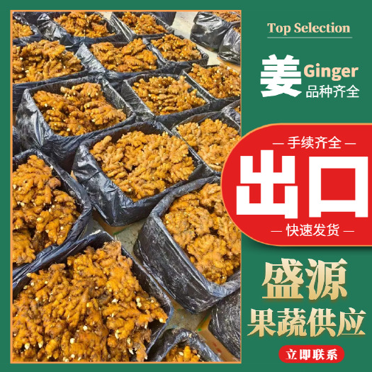 沂水县生姜 小黄姜  专业出口中东等地 市场规格均可供应