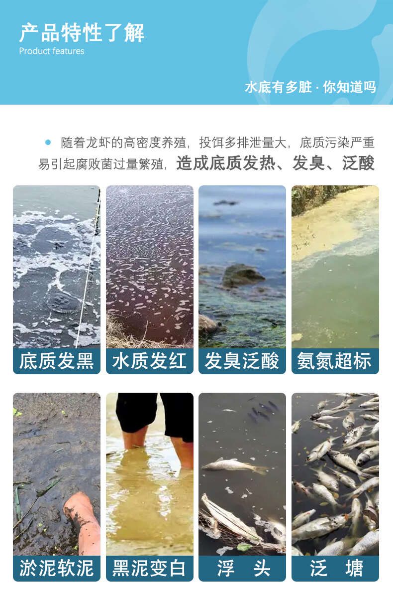 过硫酸氢钾水产复合盐改底净水王养殖鱼塘鱼塘底改王增氧片调水