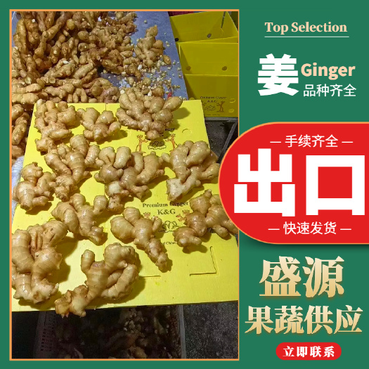 沂水县大黄姜 出口+内销  原产地供货 专业仓储 全年有货规格齐全