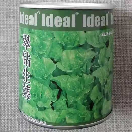 漯河理想翠钻生菜种子 半结球生菜 直立耐热耐抽苔 绿叶绿柄