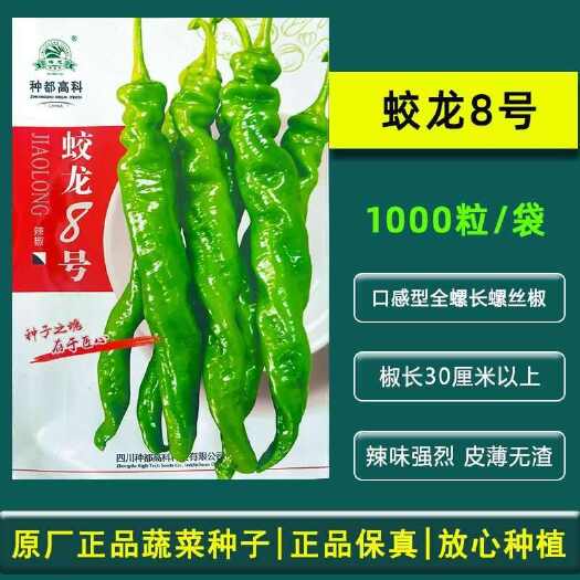 天津蛟龙8号螺丝椒种子 皮薄全螺 辣味浓 口感爽脆 抗病