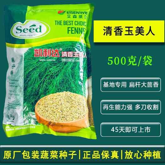 清香玉美人割茬茴香种子 抗病 茎叶深绿 香味浓郁 生长快