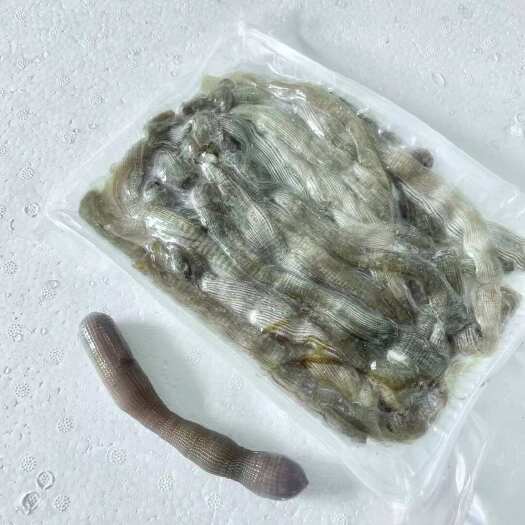 东山县沙虫冻品解冻即烹，市场现货全国可发