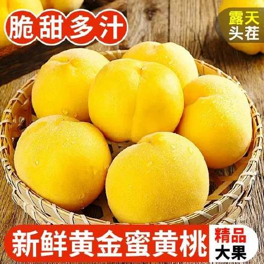 江陵县自家种植锦绣黄桃5斤包邮黄毛桃应季新鲜水果大桃子现摘脆甜整箱