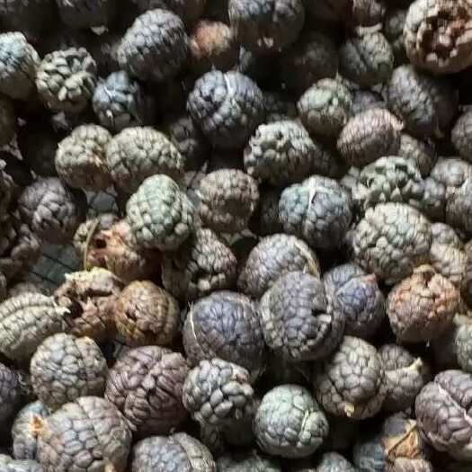 灵山县草蔻