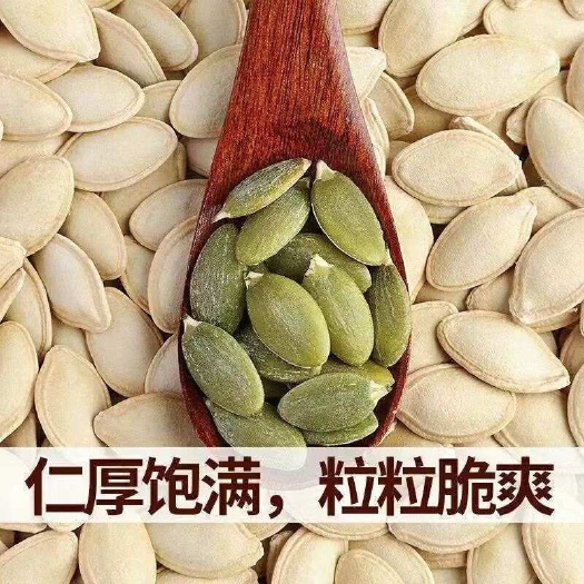 内蒙南瓜子，大颗粒南瓜子，原味生南瓜，批发
