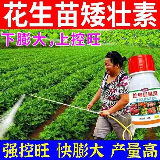栾川县花生矮多收花生高产叶面肥控旺膨大花生超生婆抗病防早衰保花保果