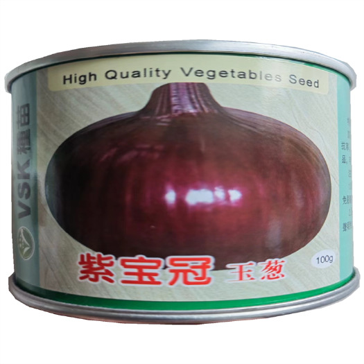 紫冠洋葱种子东京紫玉高桩甜脆紫皮洋葱种子耐运中早熟紫宝冠