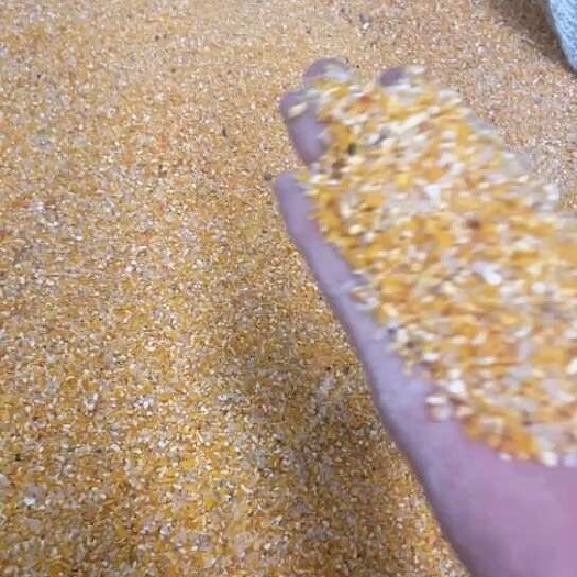 唐山饲料米玉米和大米低价出售三十吨左右