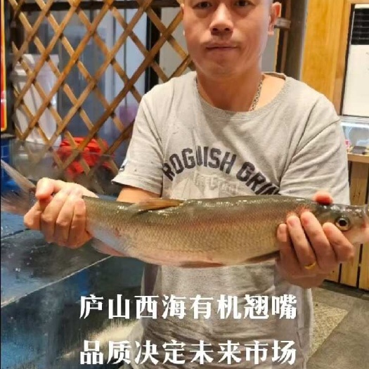 庐山市庐山西海活鱼，江西省可联系配送。