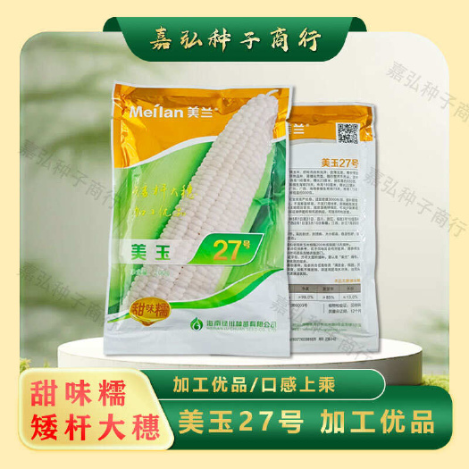 义乌市正品美玉27 甜味糯 矮杆大穗 中早熟品种 杂交种 200g