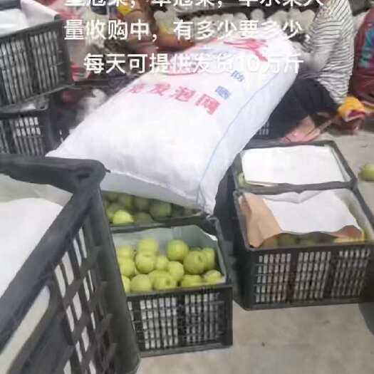 睢宁县皇冠梨，翠冠梨，丰水梨