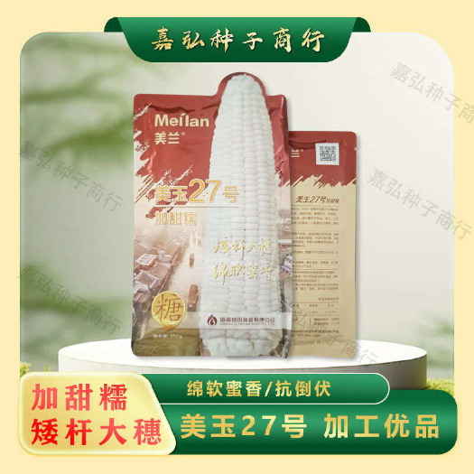 义乌市美玉27加甜糯 矮杆大穗 抗倒伏 抗锈病大小斑病 稳定性好