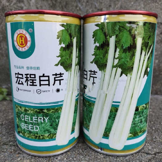 常德宏程白芹菜种子 抗病 耐抽苔 白杆实心 叶片大