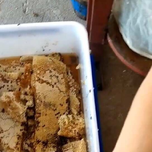 郴州野蜂蜜