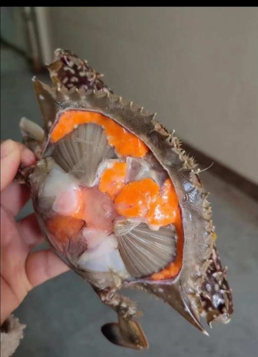 海產(chǎn)品梭子蟹