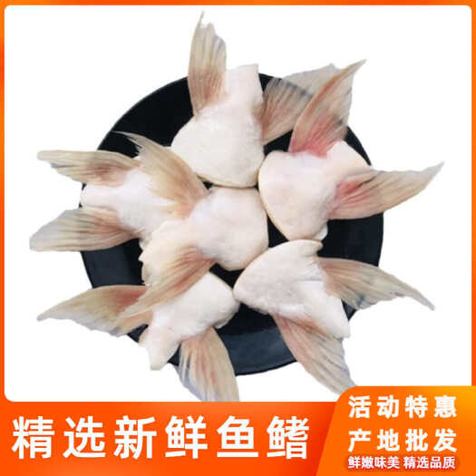 长沙巴沙鱼
