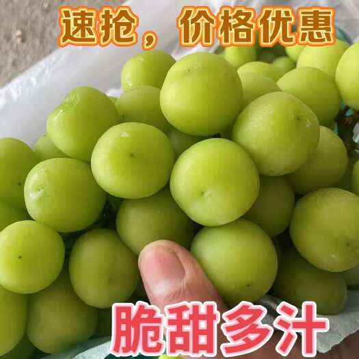 阳光玫瑰 规格齐全 口感好 糖度高 串型好