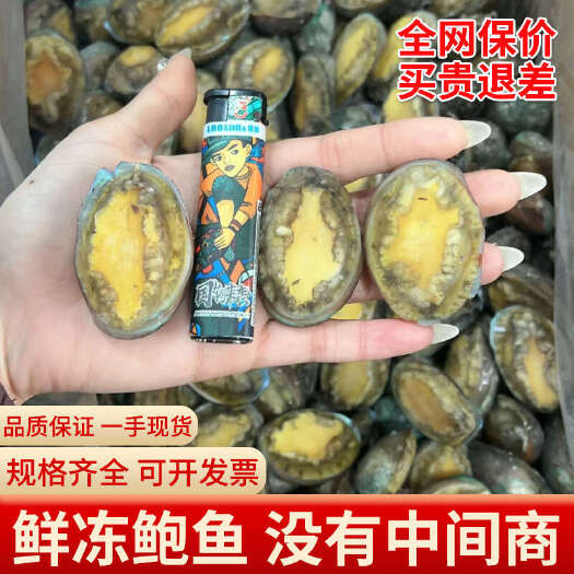 广州【一手货源】自冻鲍鱼鲜冻鲍鱼产地直供3-25头全规格品质保证