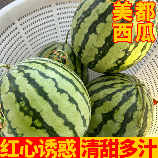 松滋市湖北美都 麒麟西瓜美都西瓜 冰糖有籽 现摘现发包甜包熟产地直