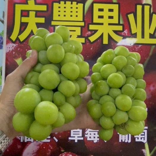 葡萄，提子