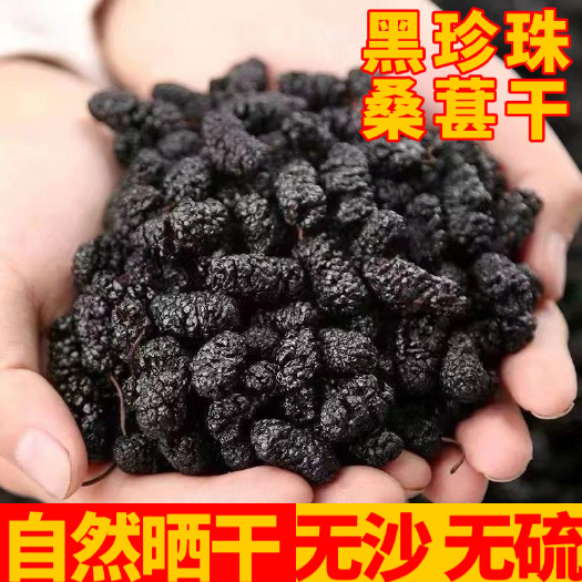 泊头市桑椹黑珍珠桑椹干，药材桑椹干，水洗桑椹干批发，欢迎联系