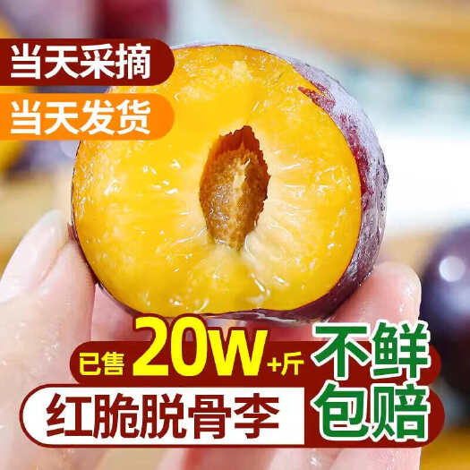 攀枝花【压轴爆款】四川脆红李脱骨脆红比茵红李更甜3斤/5斤代发