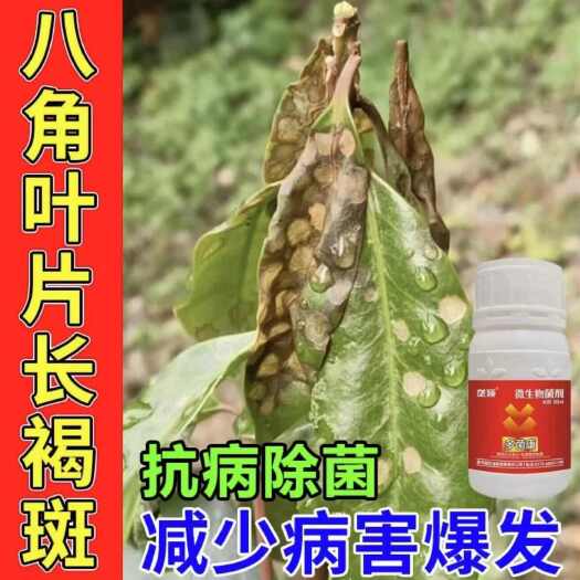 栾川县八角褐斑病专用除菌剂烟煤病日灼病流胶病嫩八角叶通用喷施叶面肥