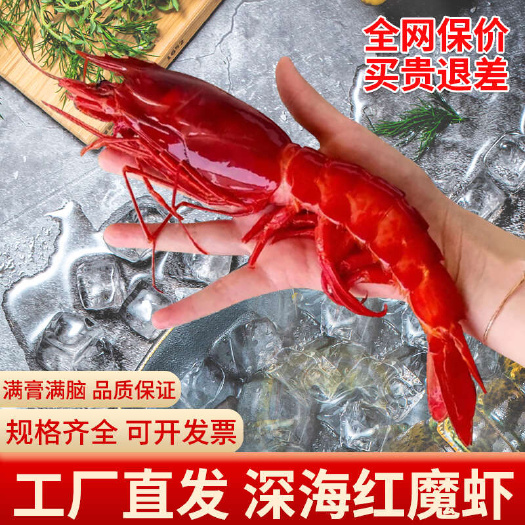 广州【工厂直发】红魔虾刺身船冻特大海深海生吃魔鬼虾