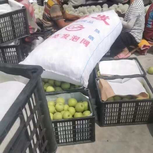 睢宁县皇冠梨，翠冠梨，丰水梨，秋月梨，酥梨