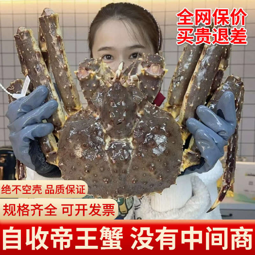 广州【一手货源】俄罗斯帝王蟹速冻蓝红帝皇蟹肉质饱满 规格齐全